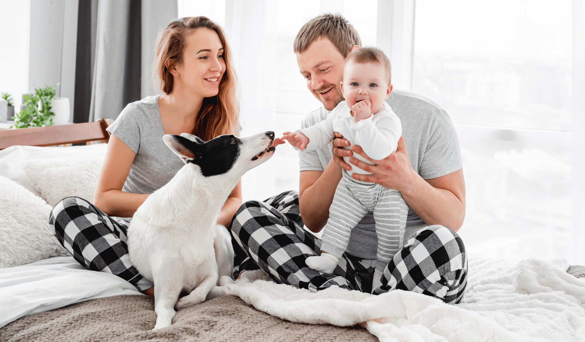 famille avec un chien dans le lit